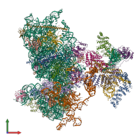 PDB entry 6w2s coloured by chain, front view.