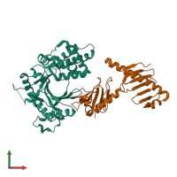 PDB entry 6w3i coloured by chain, front view.