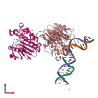 PDB entry 6w3l coloured by chain, front view.