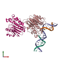PDB entry 6w3n coloured by chain, front view.