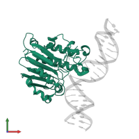 DNA-(apurinic or apyrimidinic site) endonuclease, mitochondrial in PDB entry 6w43, assembly 1, front view.