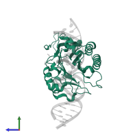 DNA-(apurinic or apyrimidinic site) endonuclease, mitochondrial in PDB entry 6w43, assembly 1, side view.