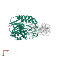 DNA-(apurinic or apyrimidinic site) endonuclease, mitochondrial in PDB entry 6w43, assembly 1, top view.
