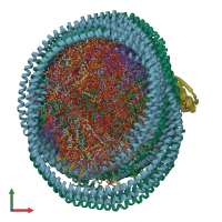 PDB entry 6w4e coloured by chain, ensemble of 20 models, front view.