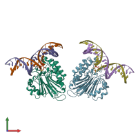 PDB entry 6w4t coloured by chain, front view.