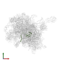 Large ribosomal subunit protein eL13 in PDB entry 6w6l, assembly 1, front view.