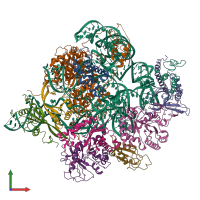 PDB entry 6w6v coloured by chain, front view.