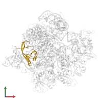 Ribonucleases P/MRP protein subunit POP7 in PDB entry 6w6v, assembly 1, front view.