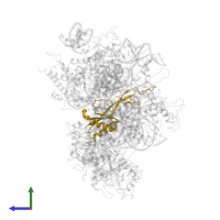 Ribonucleases P/MRP protein subunit POP7 in PDB entry 6w6v, assembly 1, side view.