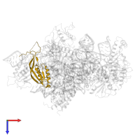 Ribonucleases P/MRP protein subunit POP7 in PDB entry 6w6v, assembly 1, top view.