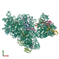 PDB entry 6w77 coloured by chain, front view.
