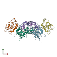 PDB entry 6w8d coloured by chain, front view.