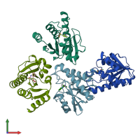 PDB entry 6w8z coloured by chain, front view.