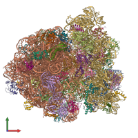 PDB entry 6wd2 coloured by chain, front view.