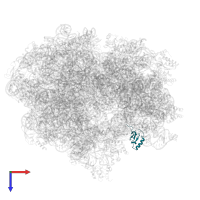 Small ribosomal subunit protein uS19 in PDB entry 6wd8, assembly 1, top view.