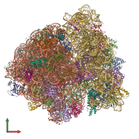 PDB entry 6wdd coloured by chain, front view.