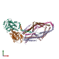 PDB entry 6wdn coloured by chain, front view.