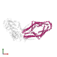 Calcium uniporter protein, mitochondrial in PDB entry 6wdn, assembly 1, front view.