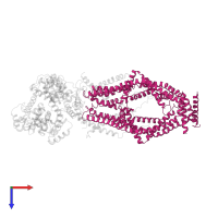 Calcium uniporter protein, mitochondrial in PDB entry 6wdn, assembly 1, top view.