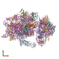 PDB entry 6wdr coloured by chain, front view.