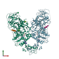 PDB entry 6weu coloured by chain, front view.