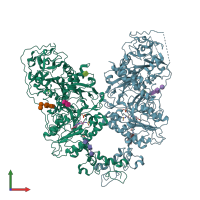 PDB entry 6wev coloured by chain, front view.