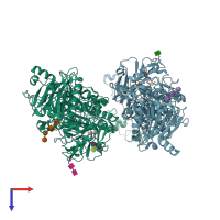 PDB entry 6wev coloured by chain, top view.