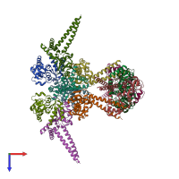 PDB entry 6wg6 coloured by chain, top view.