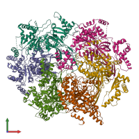 PDB entry 6wgf coloured by chain, front view.