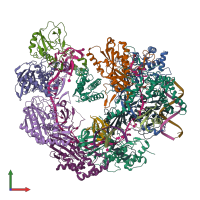 PDB entry 6whi coloured by chain, front view.