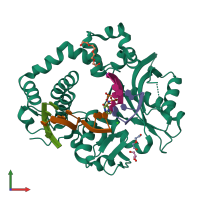 PDB entry 6wic coloured by chain, front view.