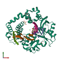 PDB entry 6wid coloured by chain, front view.