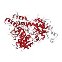 The deposited structure of PDB entry 6wih contains 1 copy of Pfam domain PF00266 (Aminotransferase class-V) in Cysteine desulfurase. Showing 1 copy in chain A.