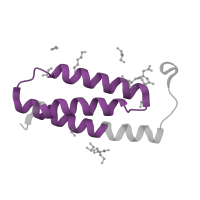 The deposited structure of PDB entry 6wih contains 1 copy of Pfam domain PF05347 (Complex 1 protein (LYR family)) in LYR motif-containing protein 4. Showing 1 copy in chain B.