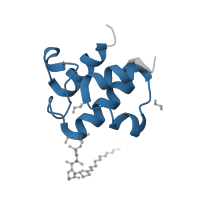 The deposited structure of PDB entry 6wih contains 1 copy of Pfam domain PF00550 (Phosphopantetheine attachment site) in Acyl carrier protein. Showing 1 copy in chain C.