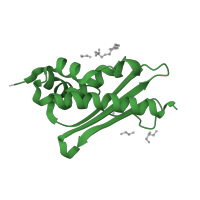 The deposited structure of PDB entry 6wih contains 1 copy of Pfam domain PF01592 (NifU-like N terminal domain) in Iron-sulfur cluster assembly enzyme ISCU. Showing 1 copy in chain D.