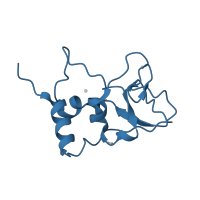 The deposited structure of PDB entry 6wks contains 1 copy of Pfam domain PF09401 (Coronavirus RNA synthesis protein NSP10) in Non-structural protein 10. Showing 1 copy in chain B [auth BBB].