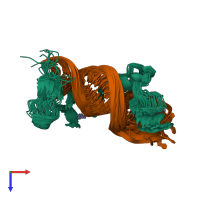 PDB entry 6wlh coloured by chain, ensemble of 20 models, top view.