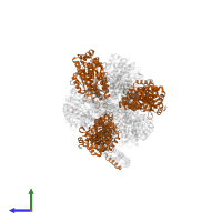ATP synthase subunit alpha in PDB entry 6wnr, assembly 1, side view.