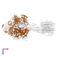 ATP synthase subunit alpha in PDB entry 6wnr, assembly 1, top view.