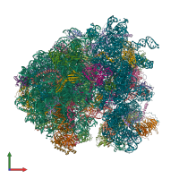 PDB entry 6woo coloured by chain, front view.