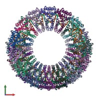 PDB entry 6wq0 coloured by chain, front view.