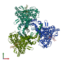 PDB entry 6wqz coloured by chain, front view.