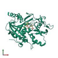 PDB entry 6wuk coloured by chain, front view.