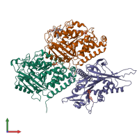 PDB entry 6wwf coloured by chain, front view.