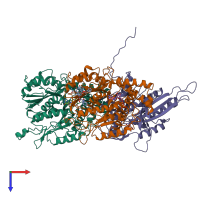 PDB entry 6wwf coloured by chain, top view.