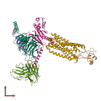 PDB entry 6wwz coloured by chain, front view.