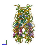 PDB entry 6wz5 coloured by chain, side view.