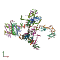 PDB entry 6x0a coloured by chain, front view.