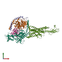 PDB entry 6x19 coloured by chain, front view.